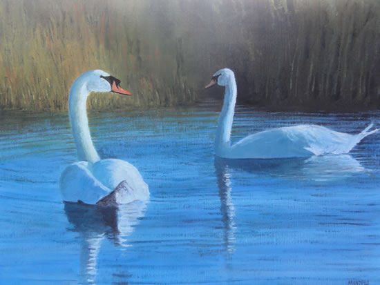 Two Swans on Pond or River - Surrey Art Gallery